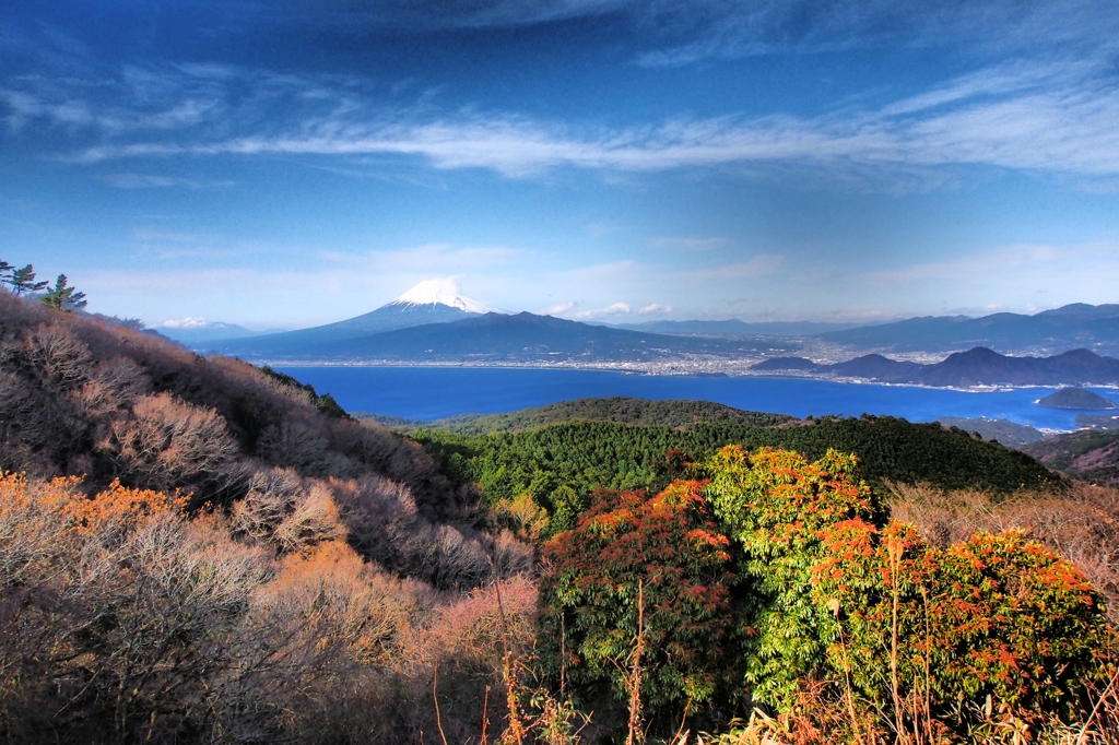 伊豆達磨山からの富士山１