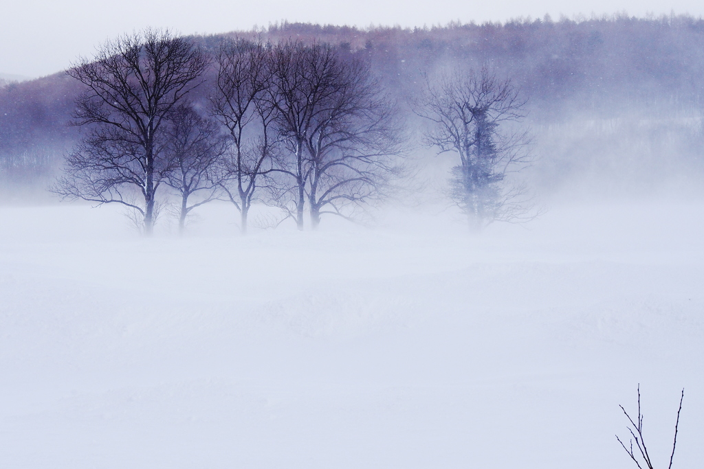 地吹雪