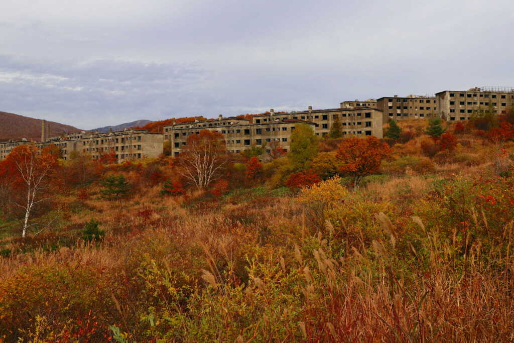 廃墟の秋１