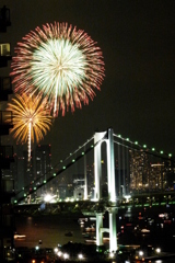 これぞ真夏の旬の花。夜空で輝く彩の華。