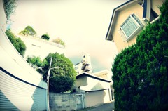 住宅街