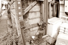 古井戸