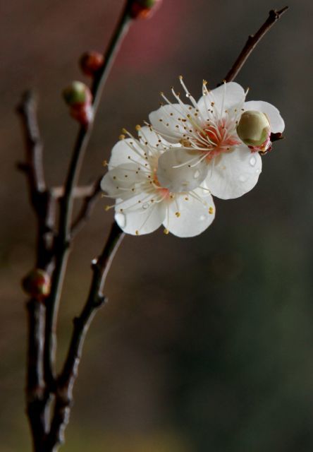 Img_7329_640