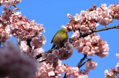 IMG_6212_640