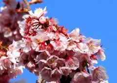Img_62120_640