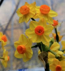 IMG_2507_800
