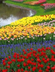 昭和記念公園14