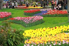 昭和記念公園12