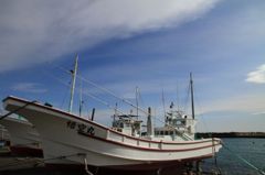 IMG_2459_800