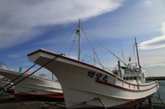 IMG_2483_800