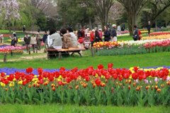 昭和記念公園10