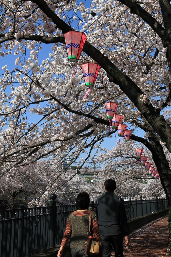 たまには夫婦で。