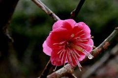 Img_7418_640