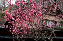 Img_7340_640