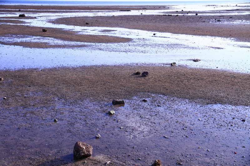石垣の海岸1