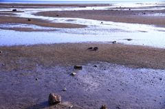 石垣の海岸1
