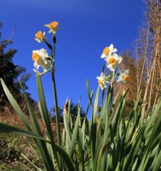 IMG_2488_800