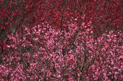 IMG_6181_640