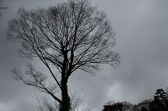 IMG_7382_640