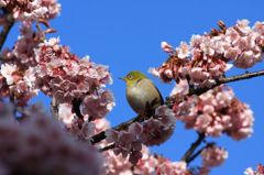 IMG_6210_640