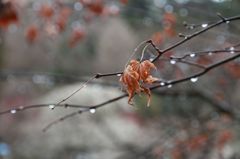 IMG_7384_640