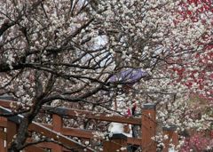 Img_7355_640