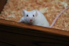 IMG_5760_600