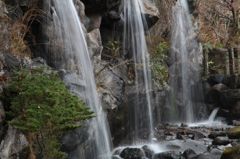 IMG_7391_640