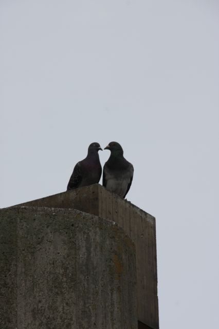 チュっと。