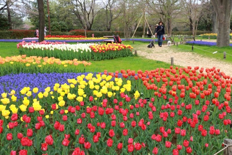 昭和記念公園2