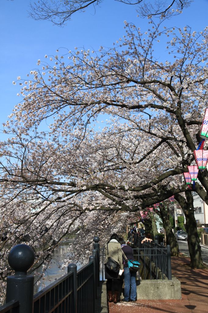 青空のもと