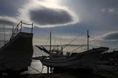 IMG_2458_800