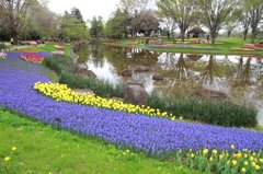 昭和記念公園1