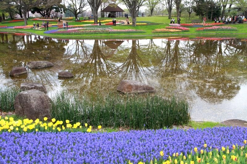 昭和記念公園15