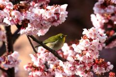 Img_6308_640