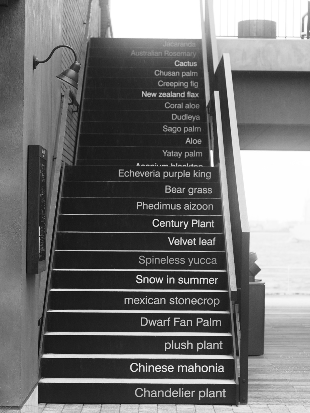 stairs