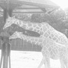 親子で食事