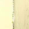 連なる緑