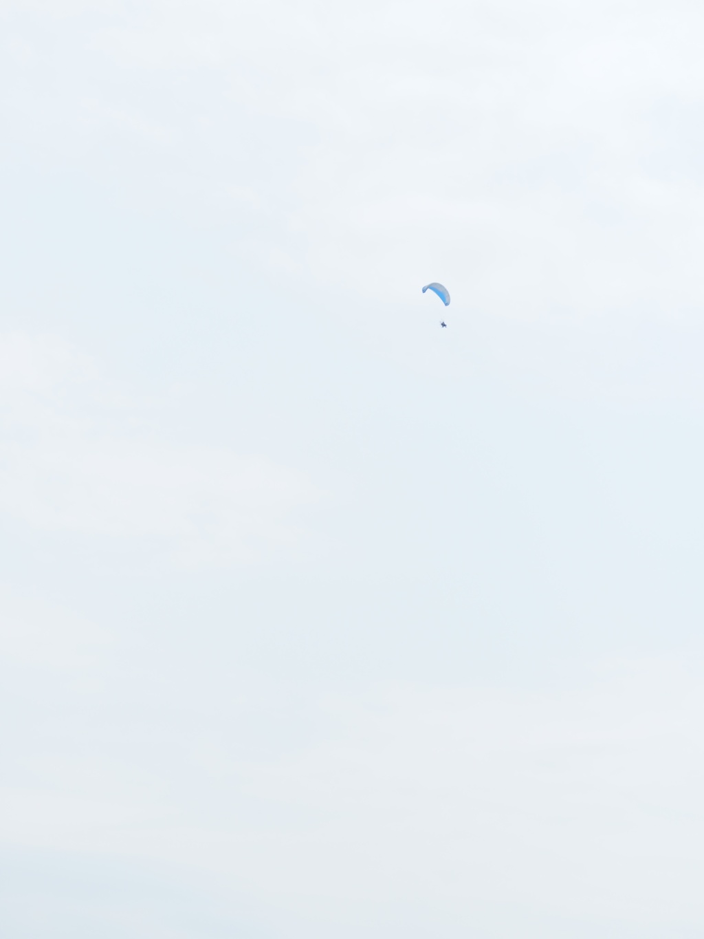 夏空高く、舞い上がれ