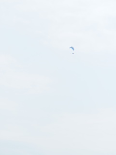 夏空高く、舞い上がれ