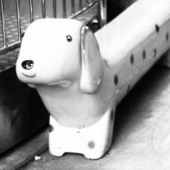 dog  bench