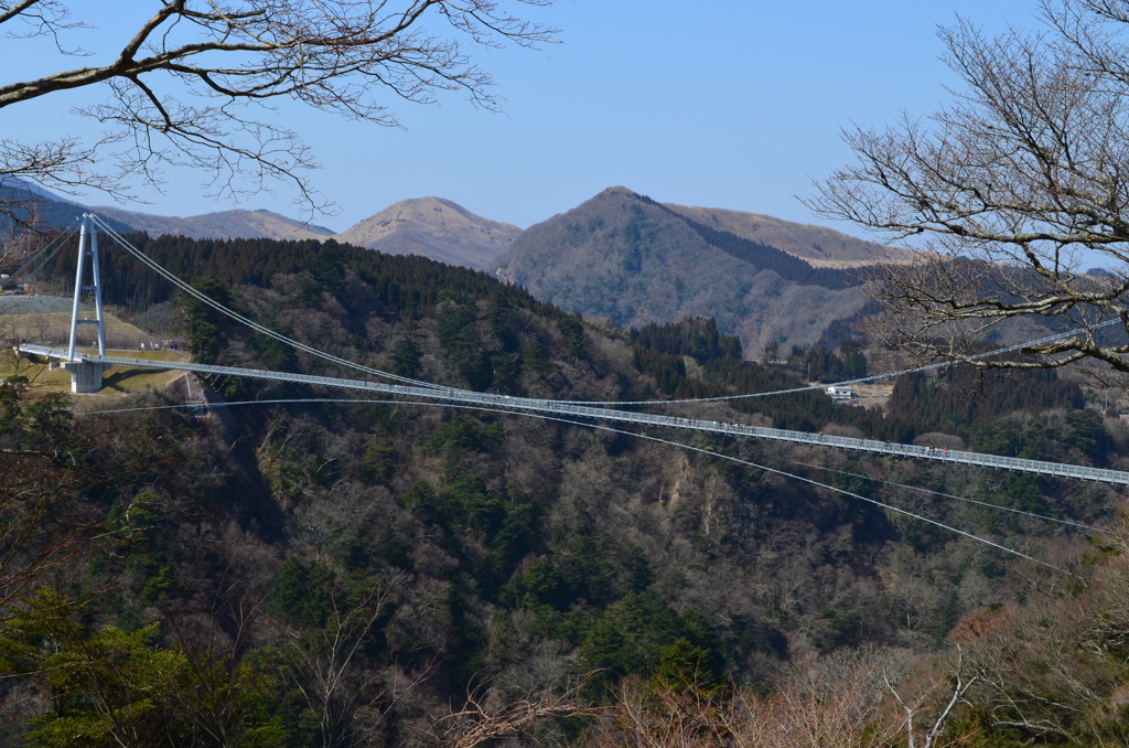 九重夢大吊橋