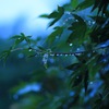 ある雨の日に