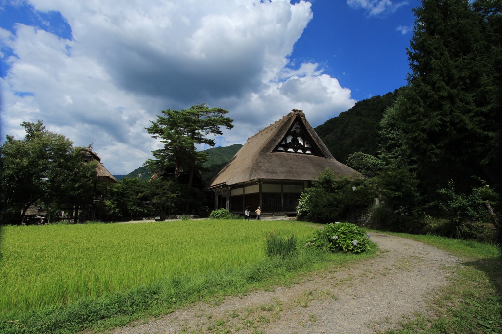 夏空のもとで