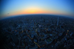 空からの眺め