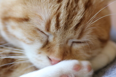 居眠り
