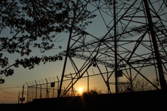 桜と鉄塔と夕焼け