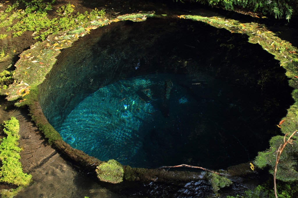 柿田川公園第二展望台