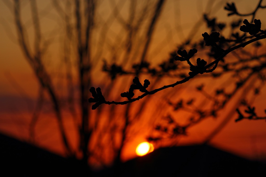 もうすぐ夕暮れ