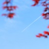 春紅葉と飛行機雲